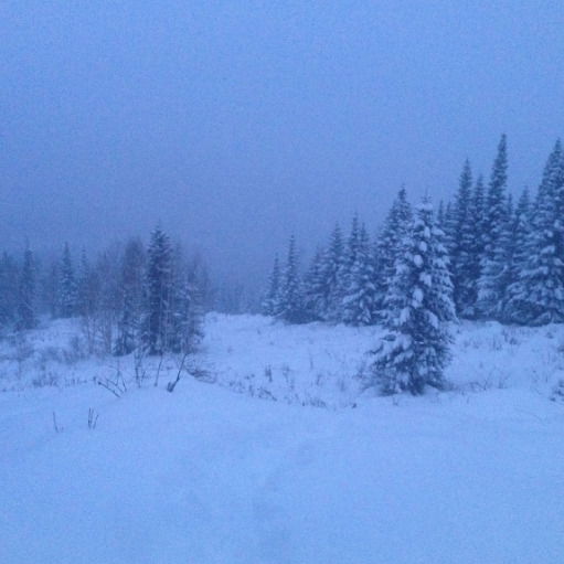 Сергей Кириченко