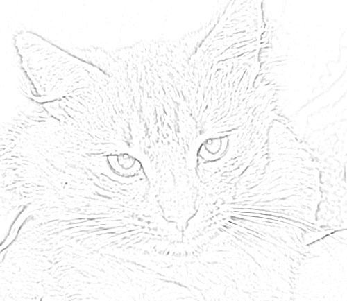 Андрюха Иванов