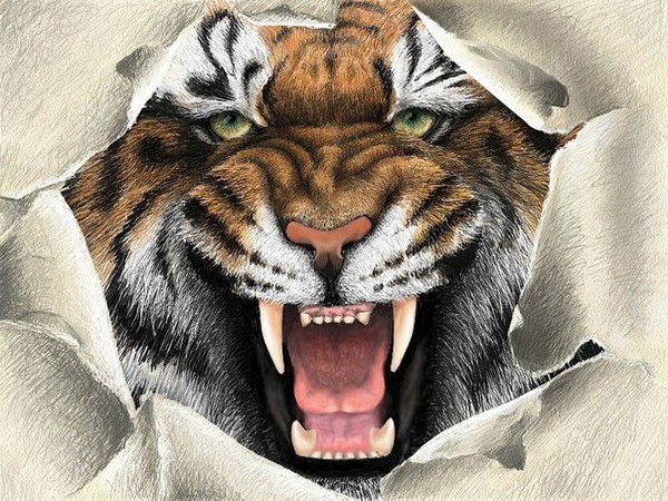 Павел Попов