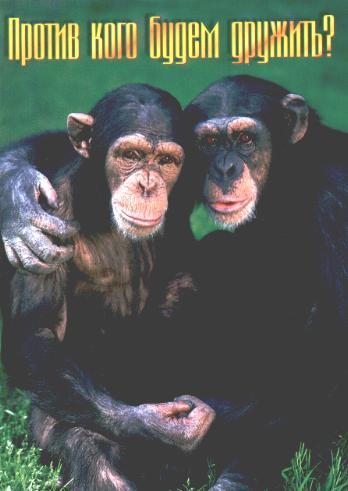 Игорь Чернов