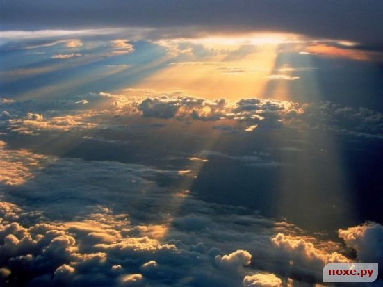 Елена Глухова