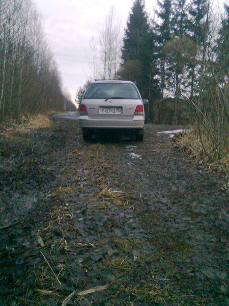 Наталья Алексеева