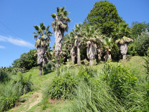 Дмитрий Синицын