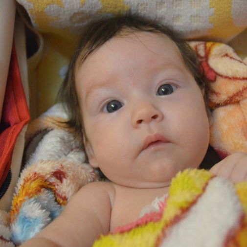 Татьяна Софронова