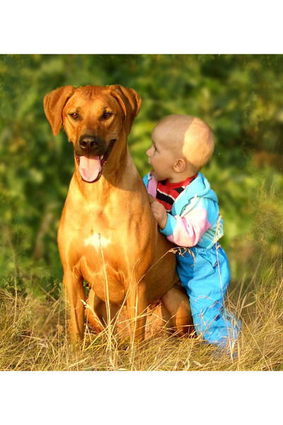 Елена Минина