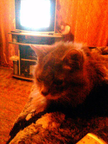 Наташа Дегтяр