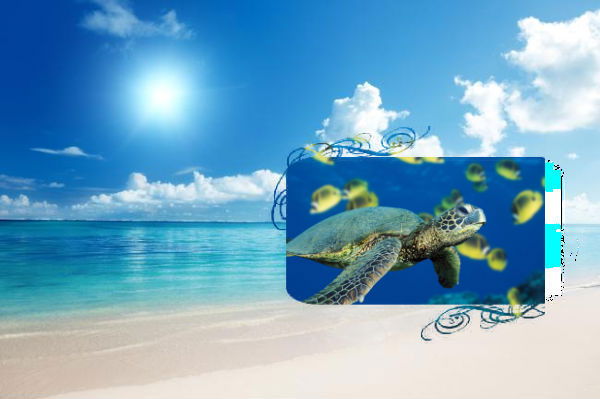 Людмила Павлова