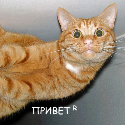 Валик Остафийчук