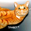 Валик Остафийчук