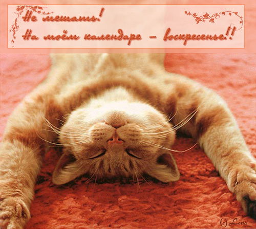 Сергей Алексеев