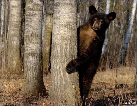 Михаил Кокорин