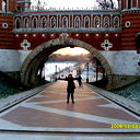 Вероника Васюнина