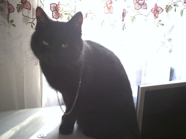 Татьяна Салимова