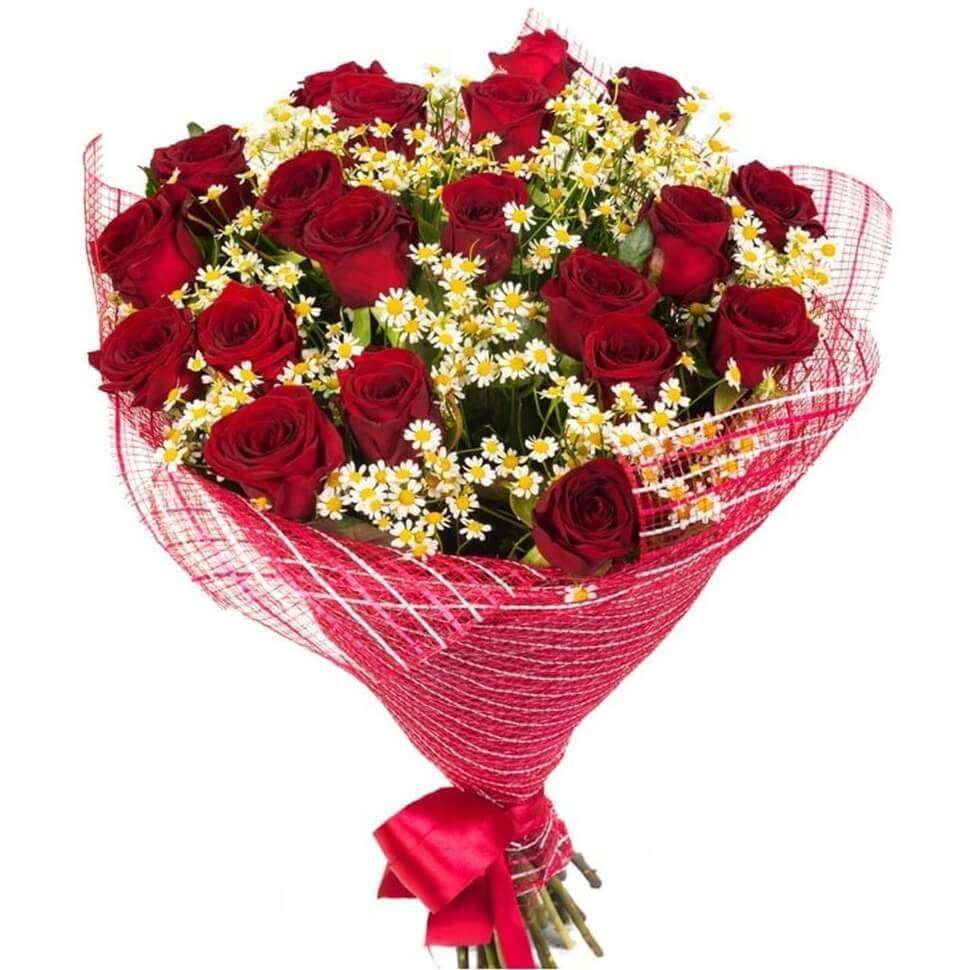 Янина Пасечник