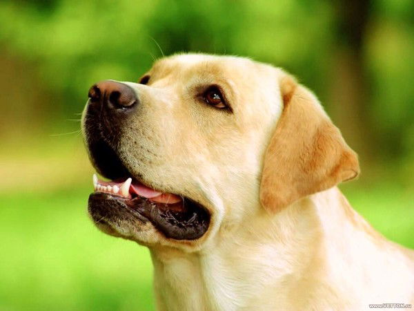 Вася Васильев