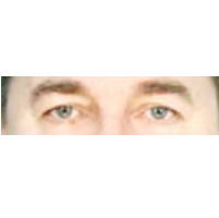 Сергей Бурдин