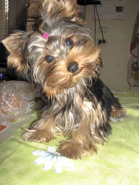 Наталья Смирнова