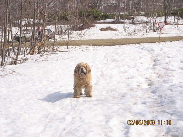 Владимир Чайко