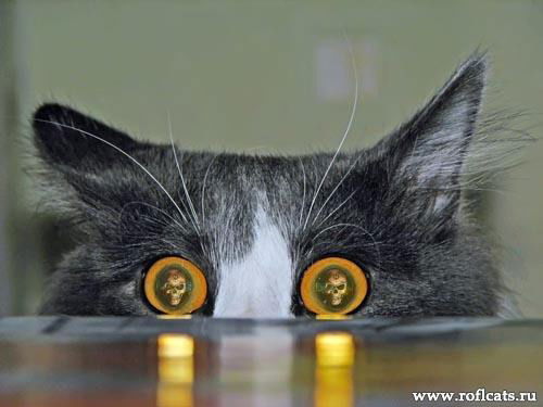 Владимир ...