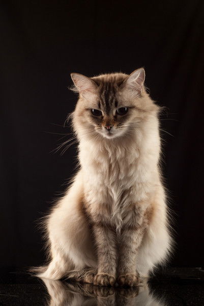 Галина Ковальчук