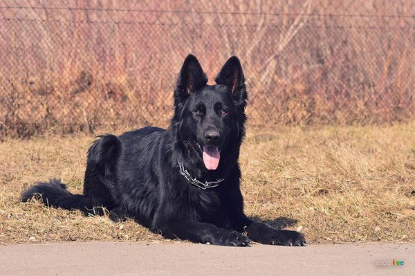 Ксюша Дрягина