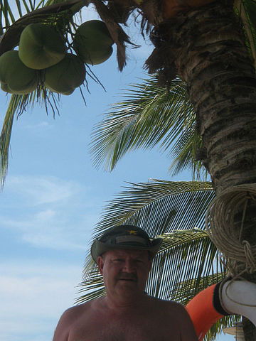 Владимир Тронин