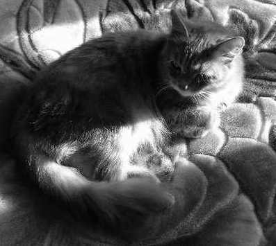 Татьяна Орлова