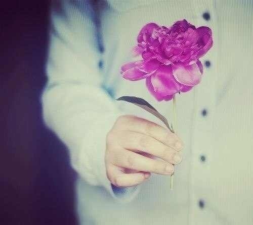 Диана Шамсудинова