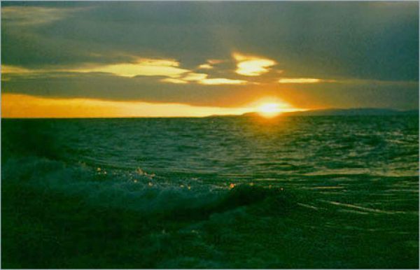 Валентина Гаврюшина