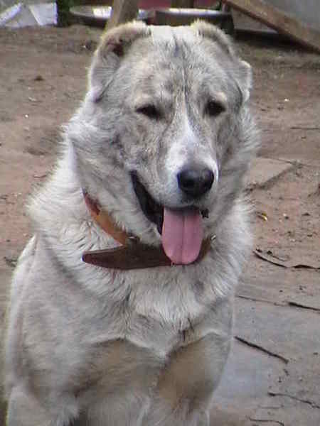 Ольга Лебедева