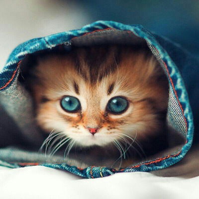 Полиночка Максимова