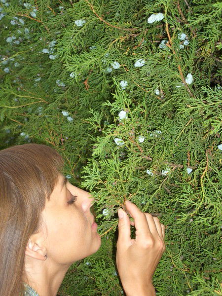 Светлана Киселёва