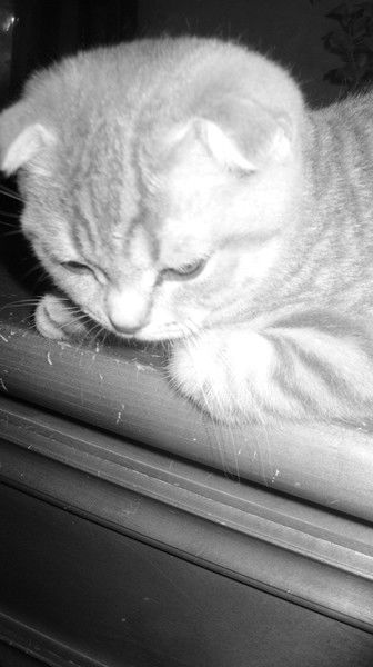 Екатерина Грозная