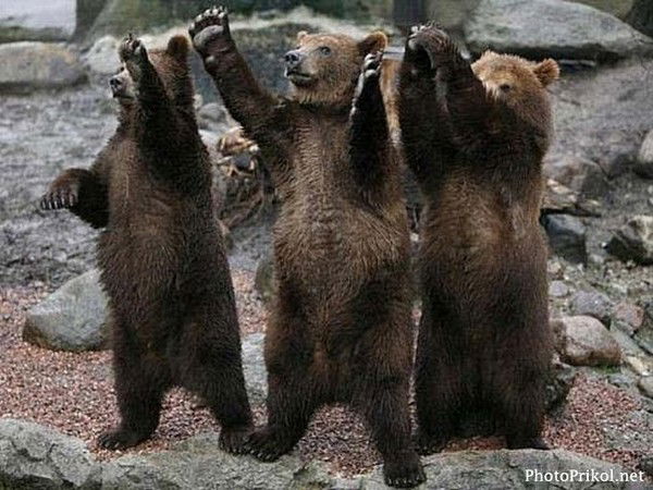 Миша Михайлов