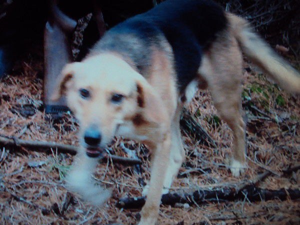 Жека Старый