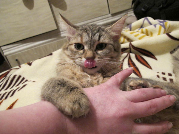 Марина Пинегина