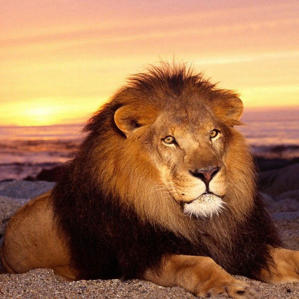 Виталий Иванов