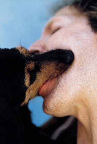 Аня Симутенко