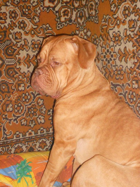 Юлия Хаккулова