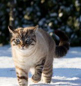 Наталья Филина