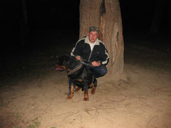 Владимир Грачёв