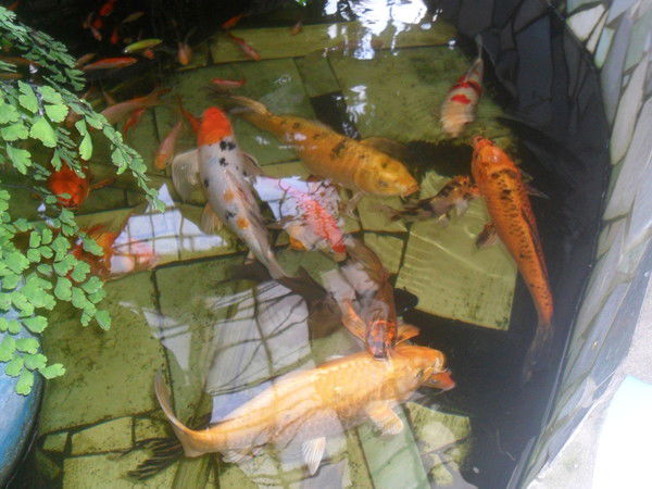 Светлана Смирнова