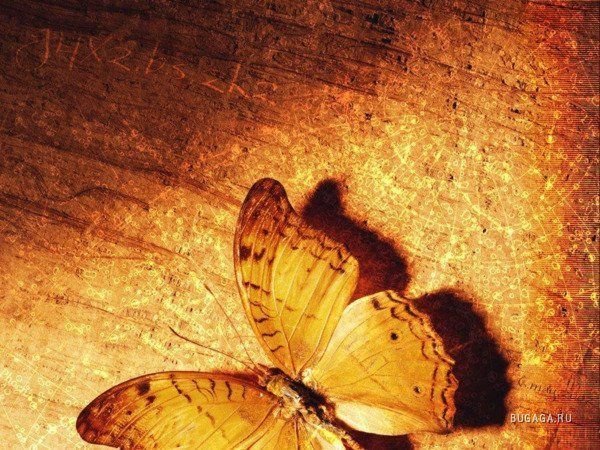 Светлана Ковалёва