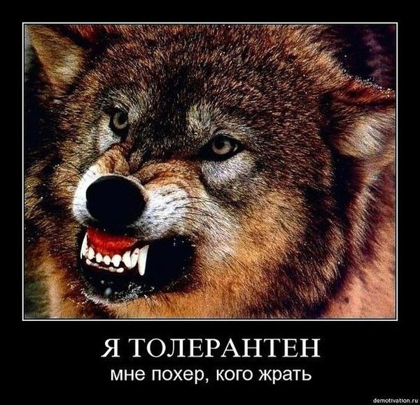 Алёна Коринева