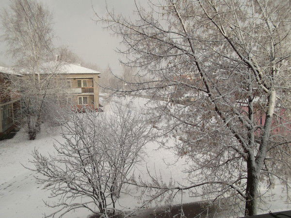 Людмила Савёлова