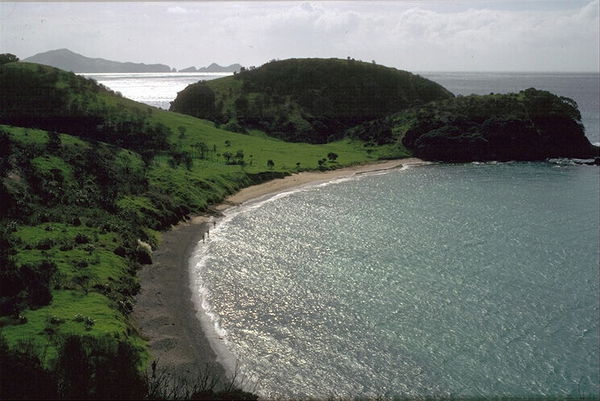 Любовь Скрипченко