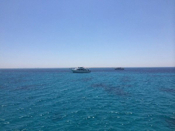 Елена Кучеба