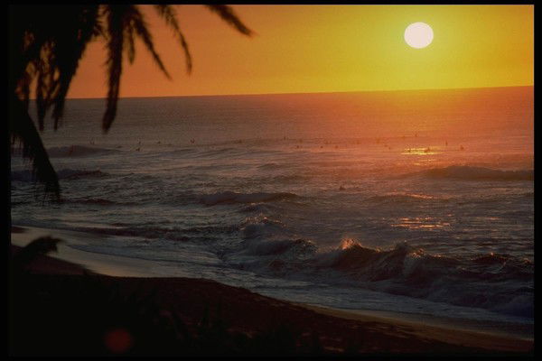 Ирина Цветкова