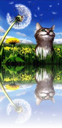 Игорь Егоров