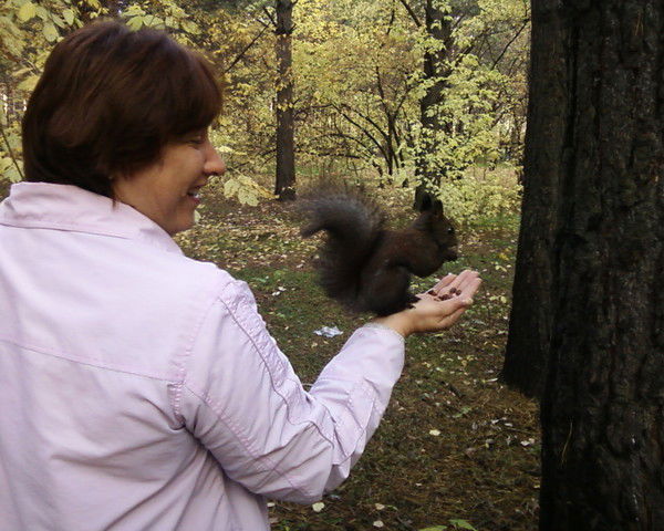 Елена Анашкина